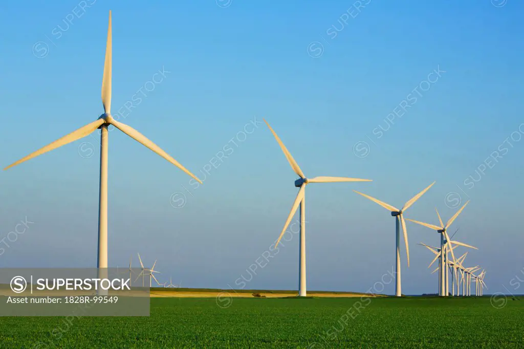 Wind Farm, Niebull, North Frisia, Schleswig-Holstein, Germany. 06/07/2013