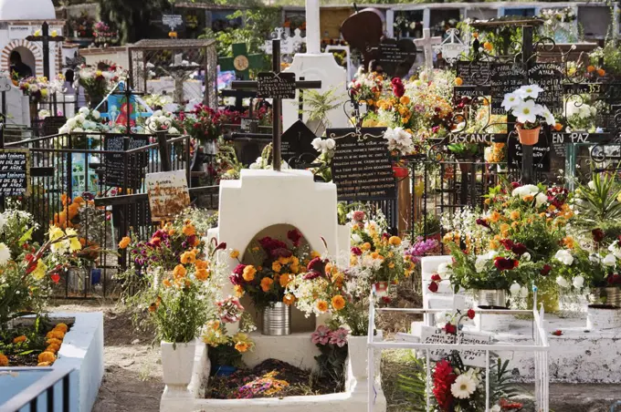 Cemetery Decorated for Day of the Dead, San Miguel de Allende, Mexico   