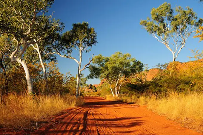 Road in Purnululu National Park, Kimberley, Western Australia, Australia   