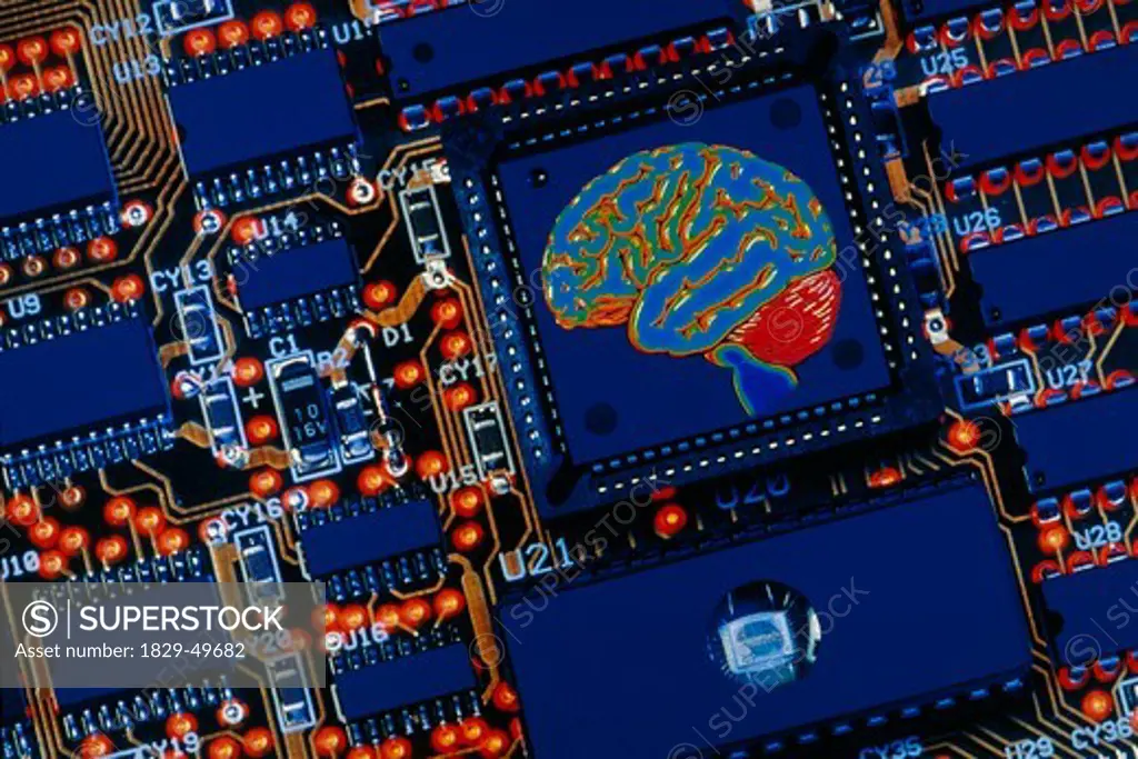 Human Brain in Microchip