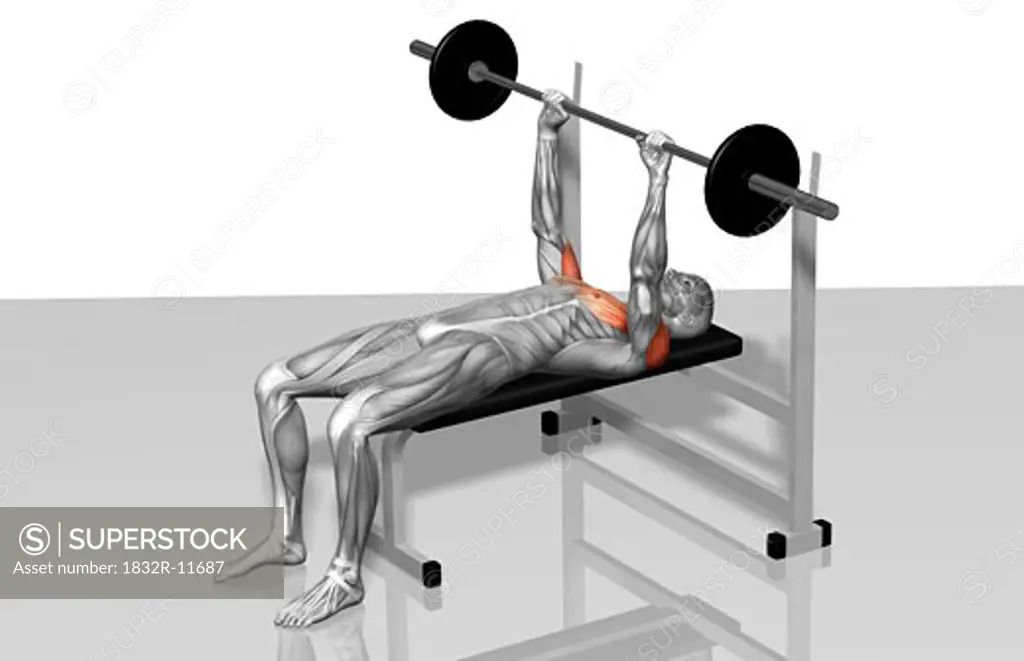 Bench press (Part 1 of 2)