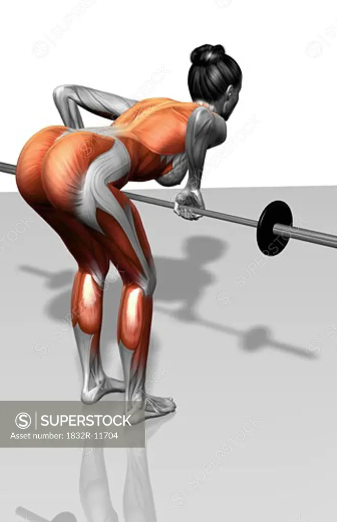 Barbell bent over row exercises (Part 1 of 2)