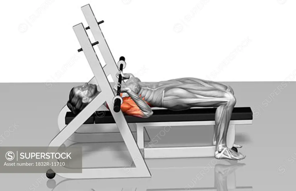 Bench press (Part 2 of 2)
