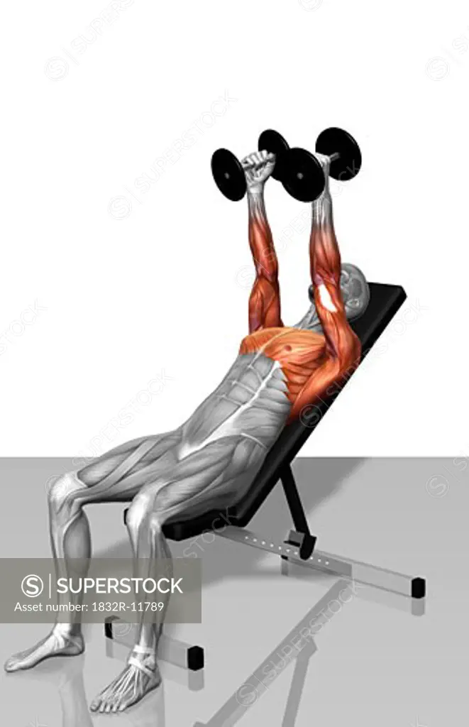 Dumbbell incline fly exercises (Part 1 of 2)