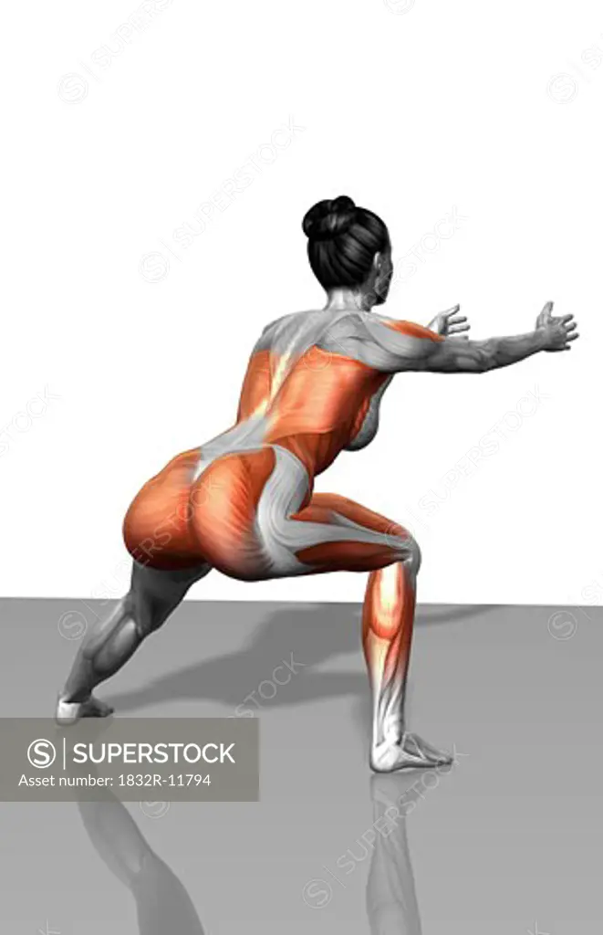 Lateral lunge