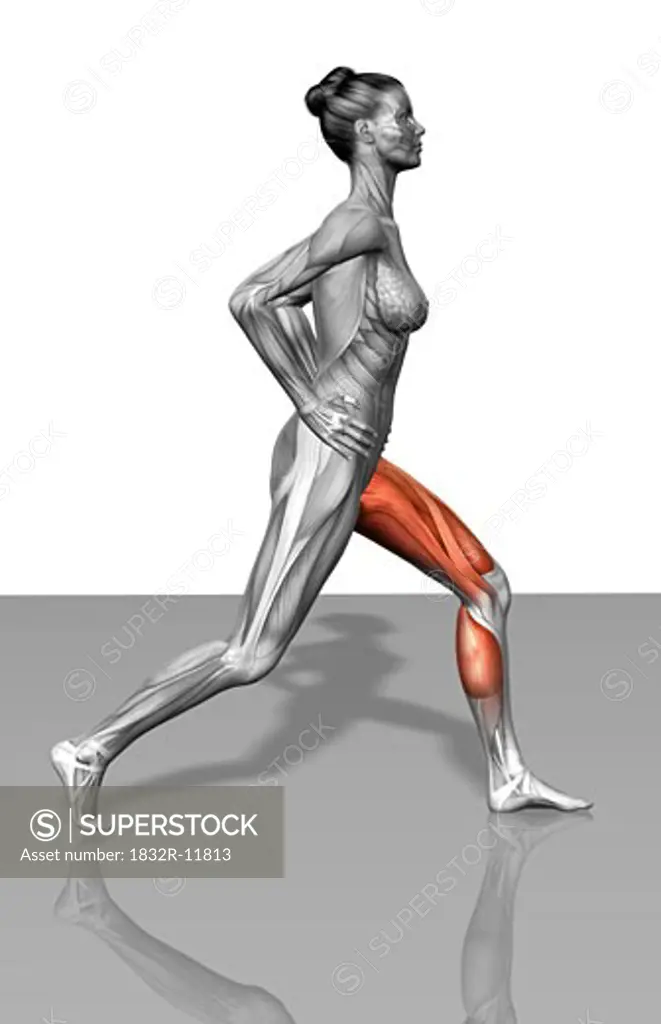 Lunge exercise (Part 2 of 2)