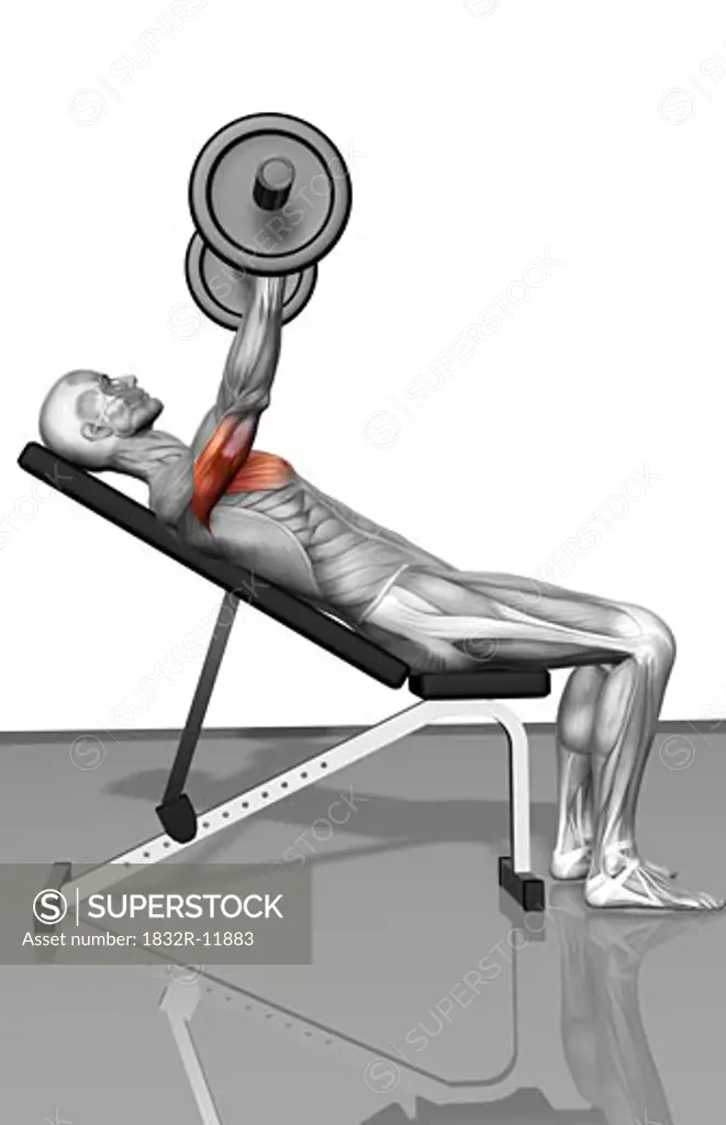Bench press incline (Part 1 of 2)
