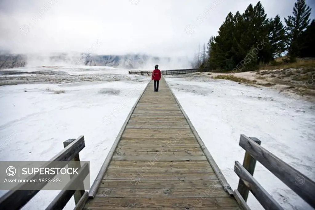 USA, Wyoming, Tourist walking on boardwalk in Yellowstone National Park