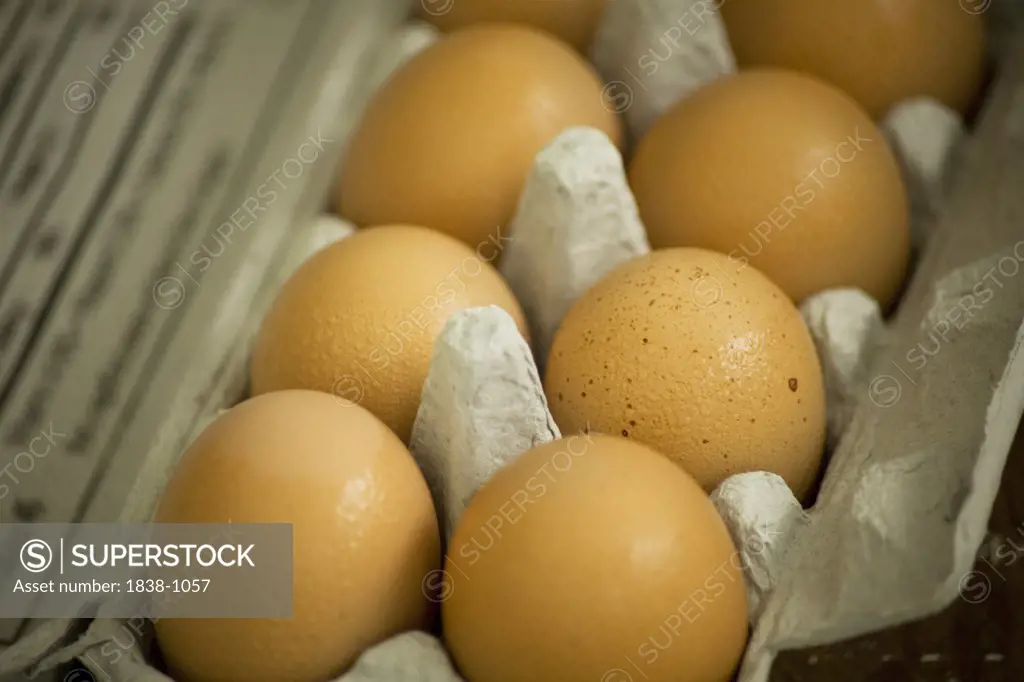 Brown Eggs in Carton 