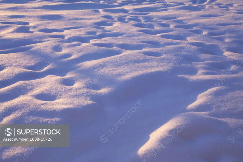 Faded Footprints in Snow