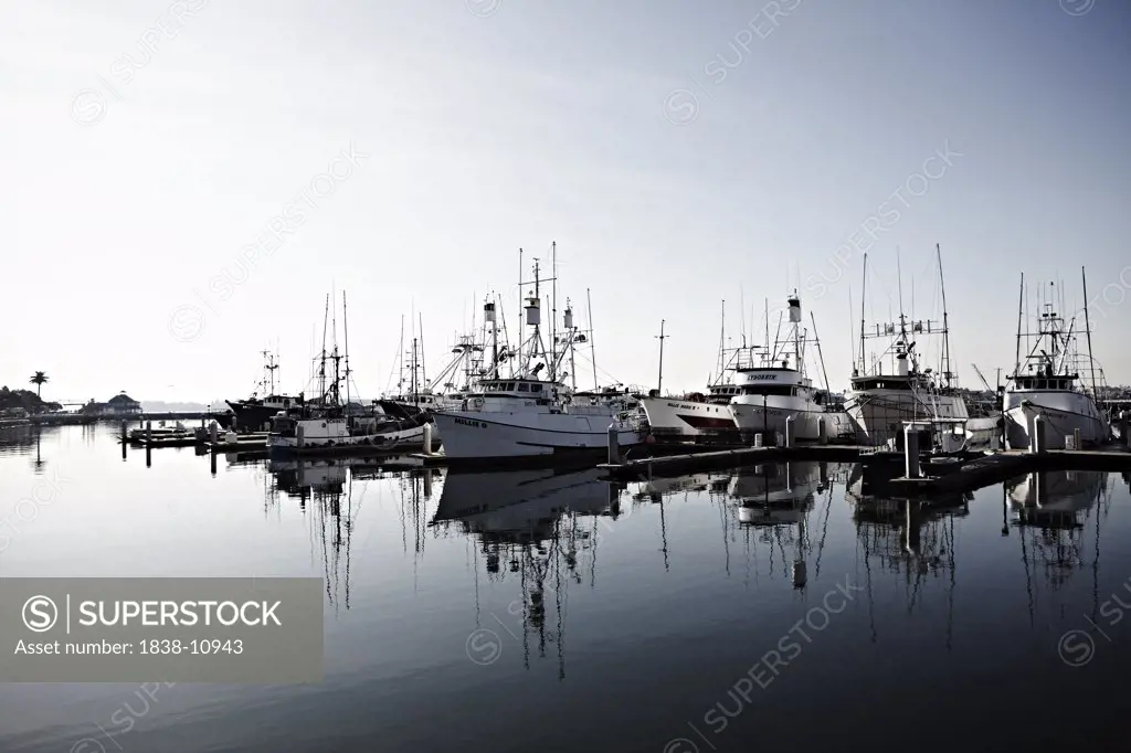Fishing Boats in Harbor, San Diego, California, USA