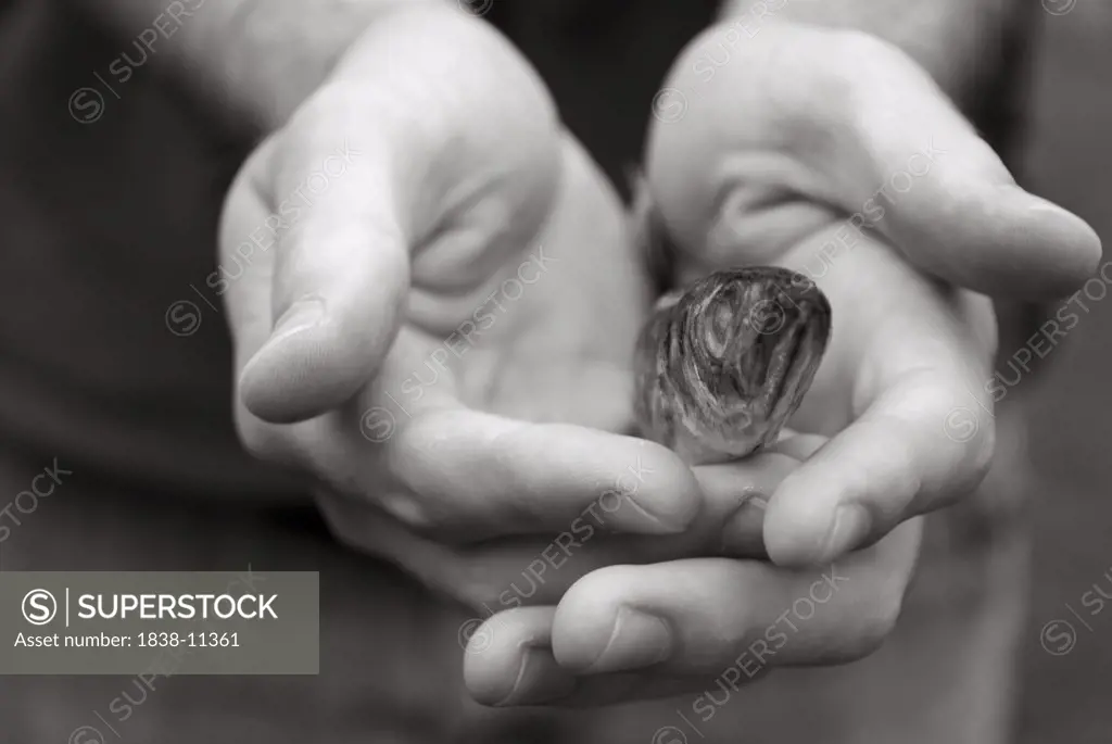 Small Fish in Hands
