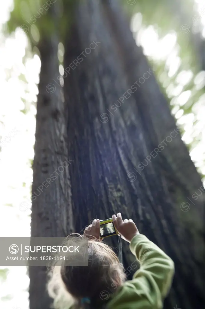 Young Girl Taking Photo of Tall Redwood Tree, Redwood National Park, California, USA