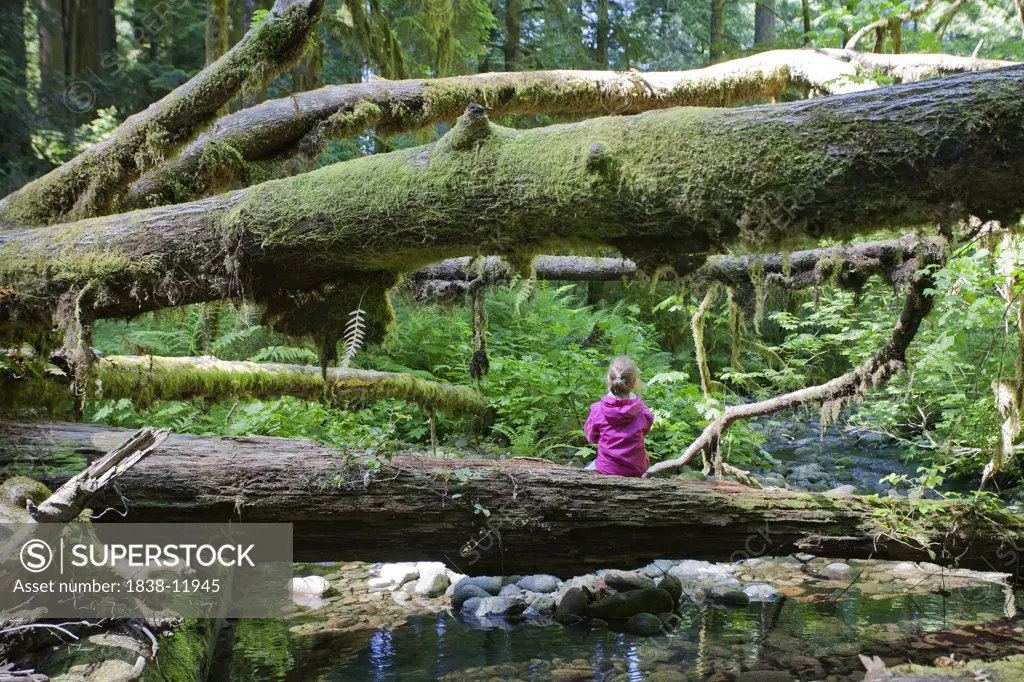 Young Girl Sitting on Moss Covered Tree Near Stream, Redwood National Park, California, USA