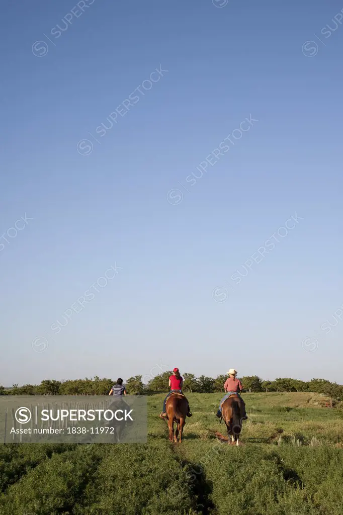 Three Women Riding Horses in Field, Rear View, Texas, USA