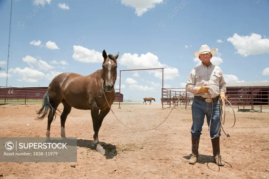 Elderly Cowboy With Horse in Corral, Texas, USA
