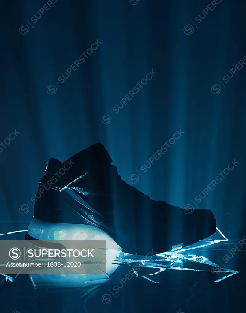 Sneaker With Blue Light, Silhouette