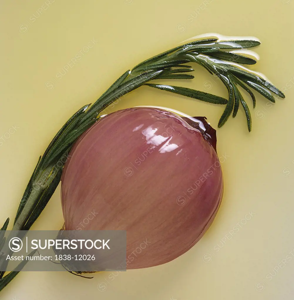 Onion and Rosemary, Close-Up