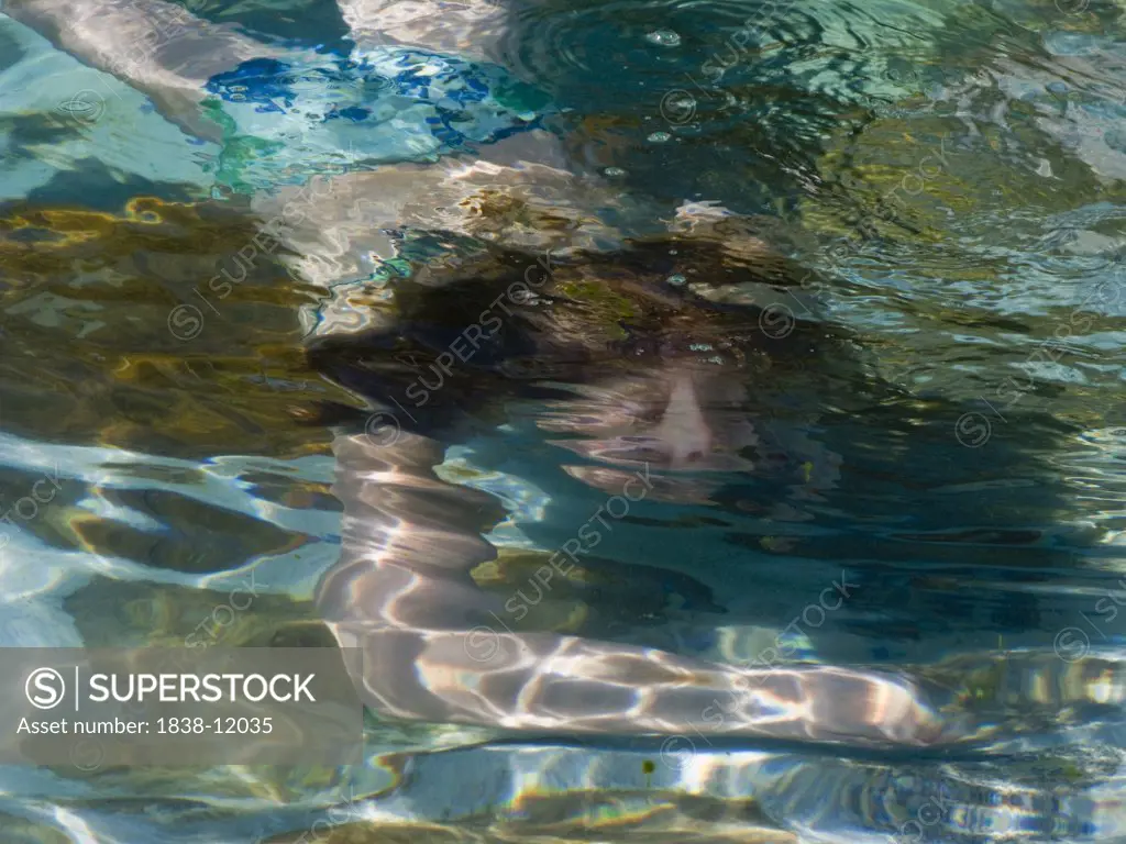 Young Girl Swimming Underwater
