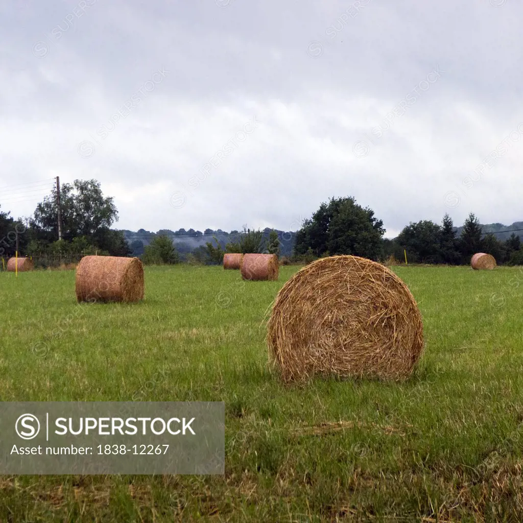 Hay Bales in Field, Arancou, Pays Basque, France