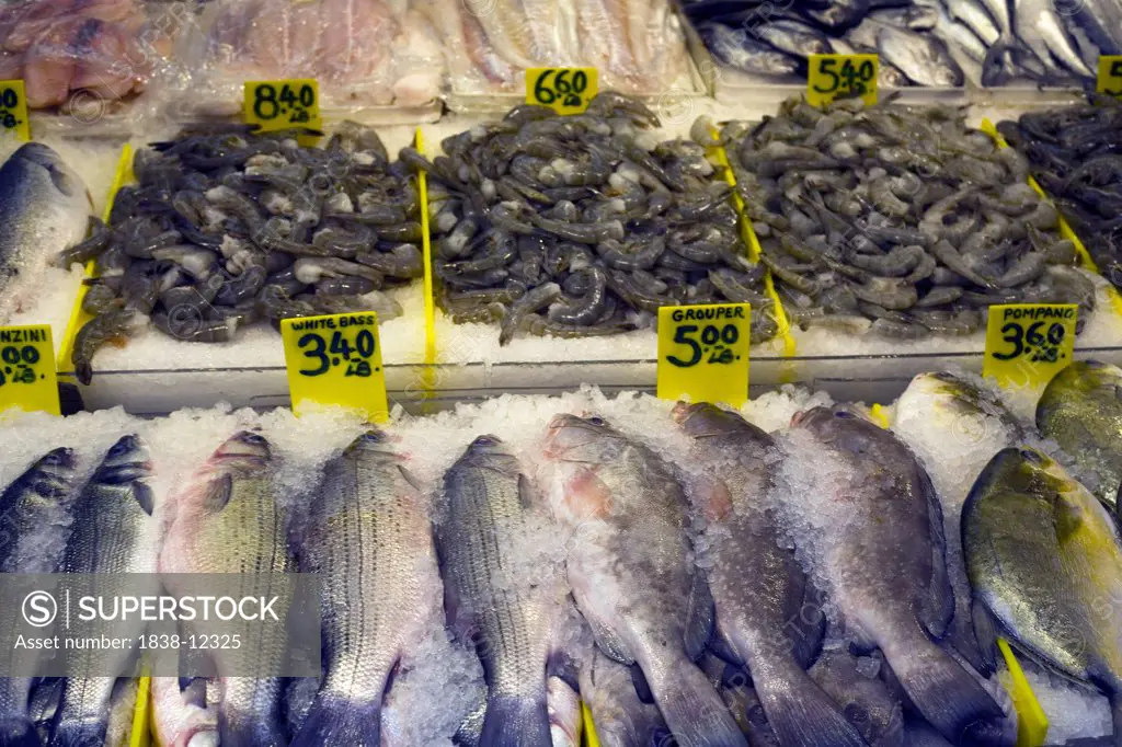 Fish Market, Chinatown, New York City, USA