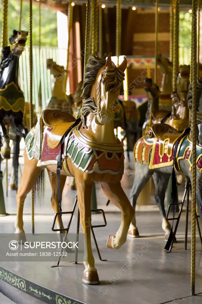 Carousel Horses, Brooklyn, New York, USA