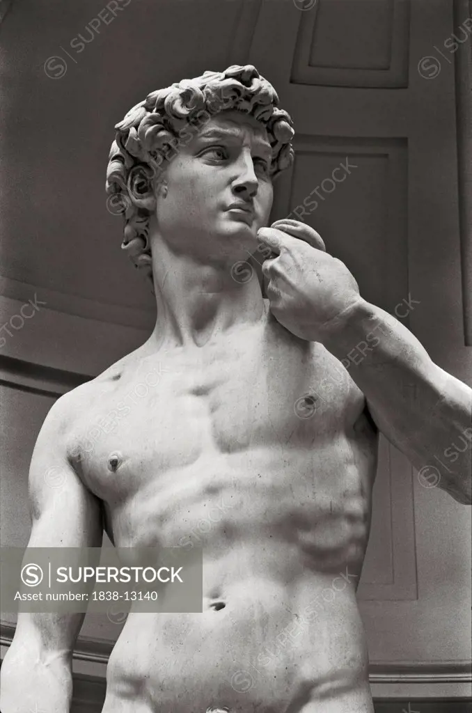 Statue of David by Michaelangelo, Cropped