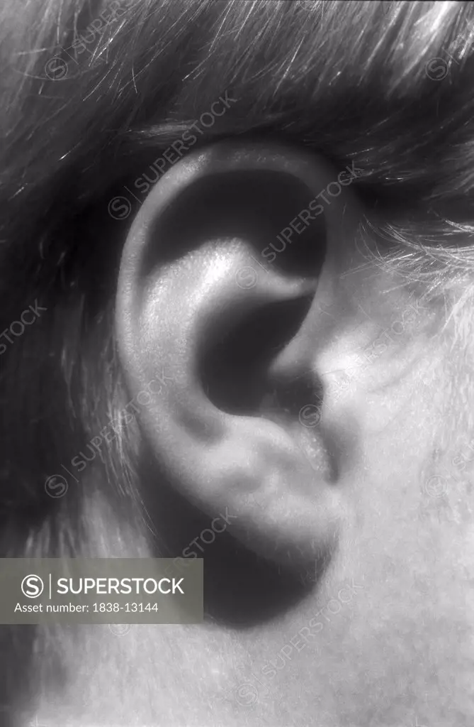 Young Man's Ear