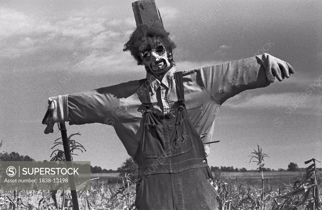 Scarecrow in Field