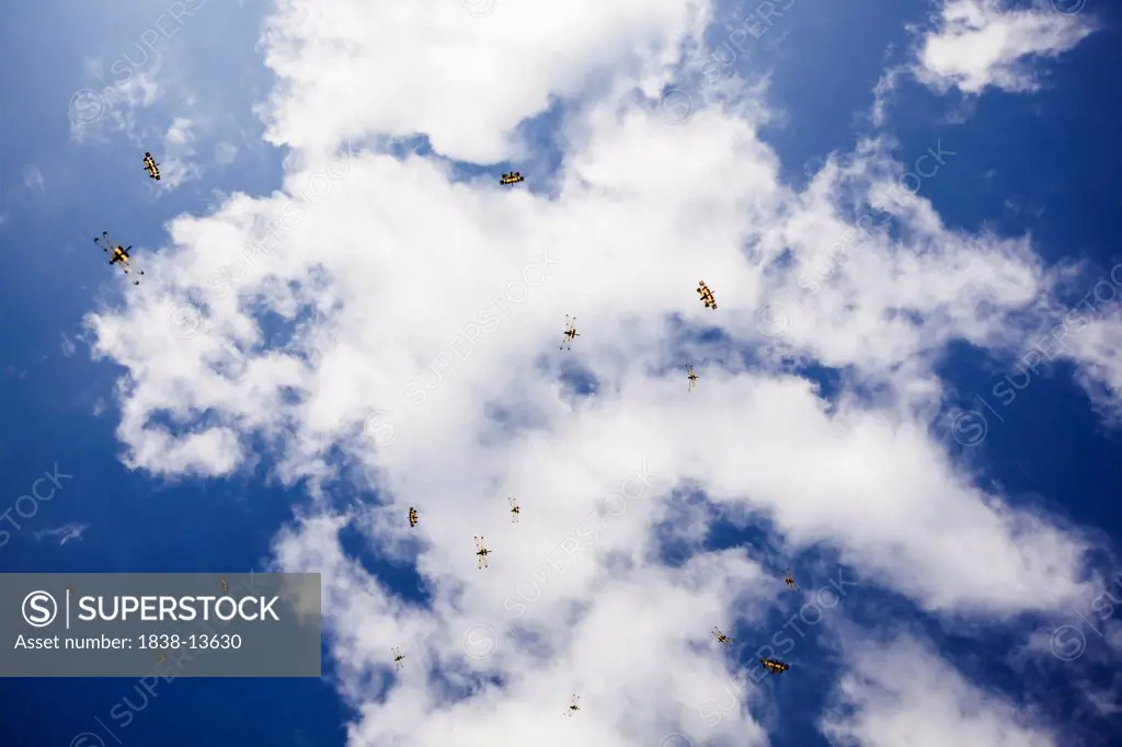 Insects Flying Against Blue Sky and Clouds, Low Angle View, Siem Reap, Cambodia