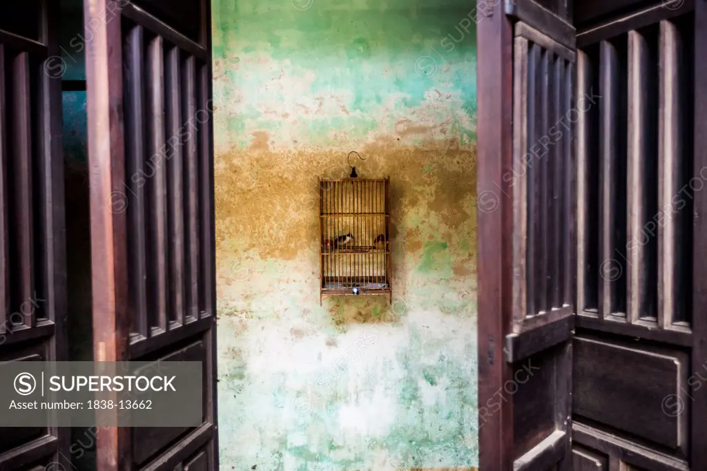 Caged Bird Hanging on Wall