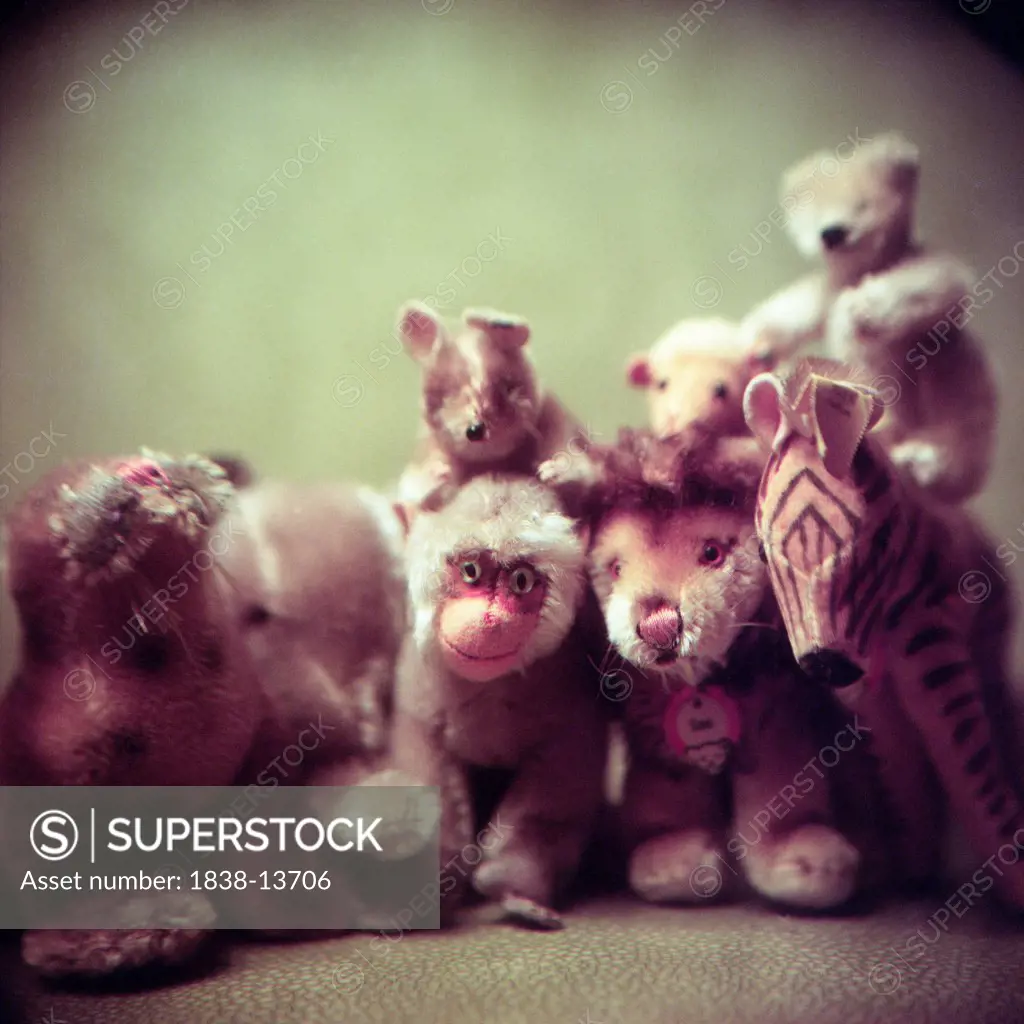 Stack of Miniature Stuffed Animals