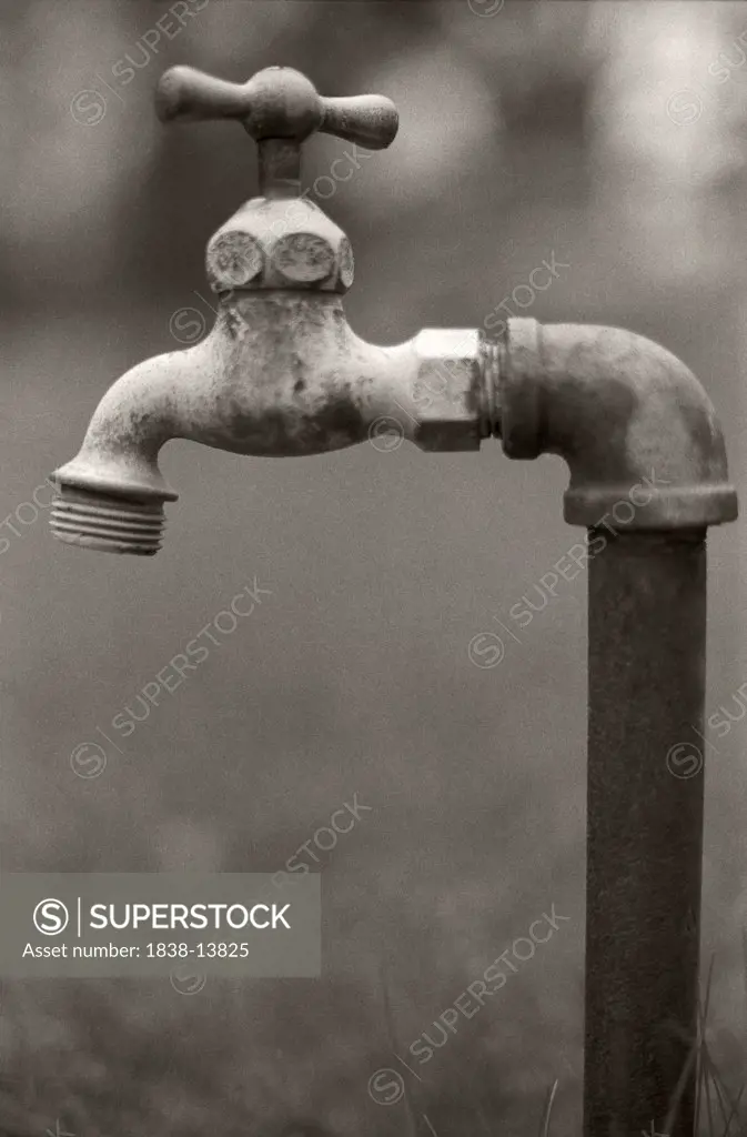 Rustic Outdoor Faucet