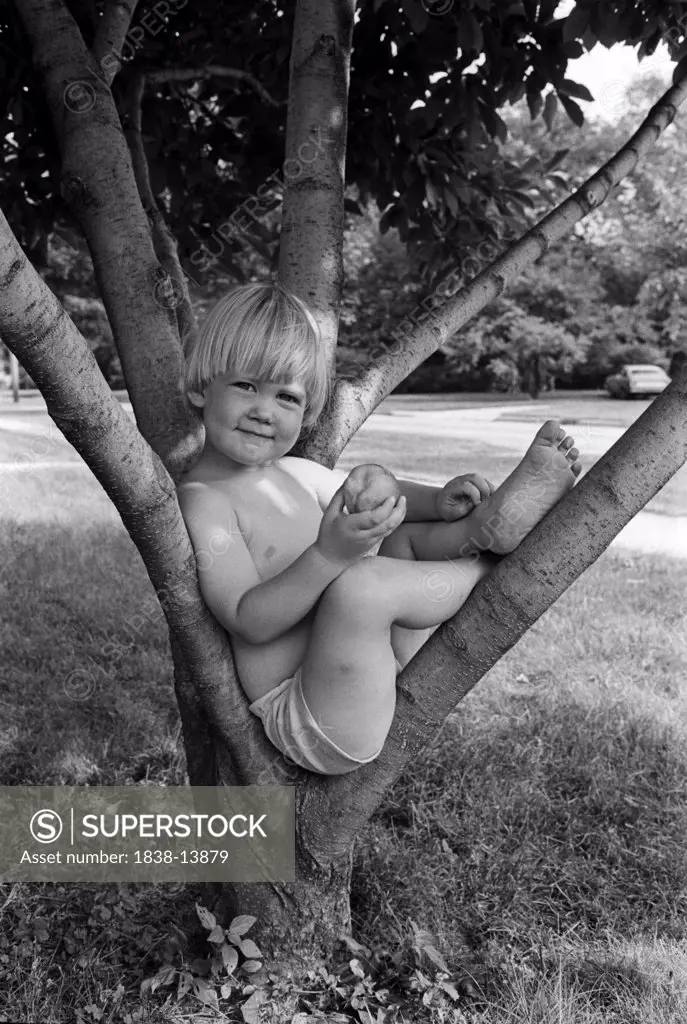 Young Boy With Apple Sitting in Tree