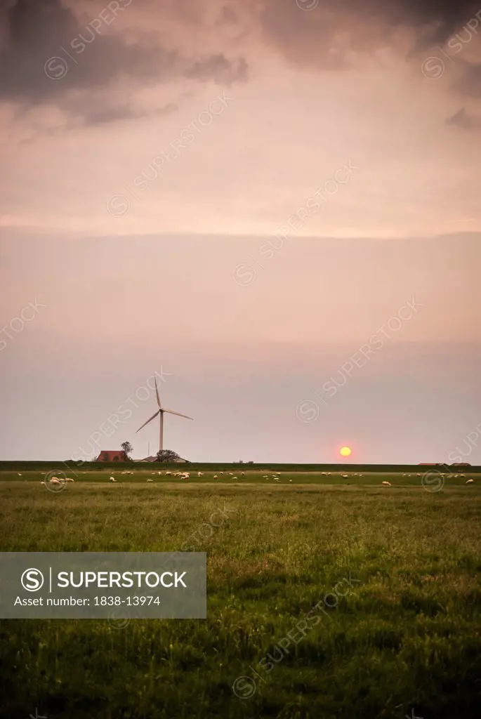 Rural Farmland With Wind Turbine at Sunset, Workum, Netherlands