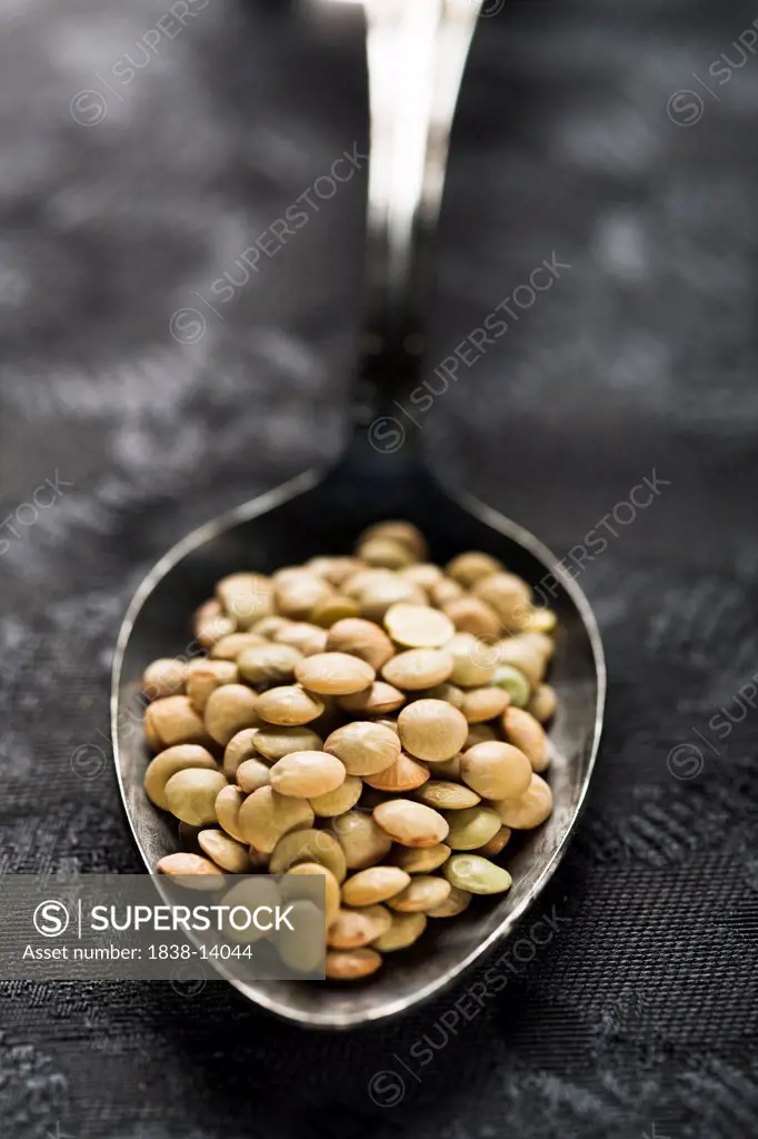 Green Lentils on Spoon, Close Up