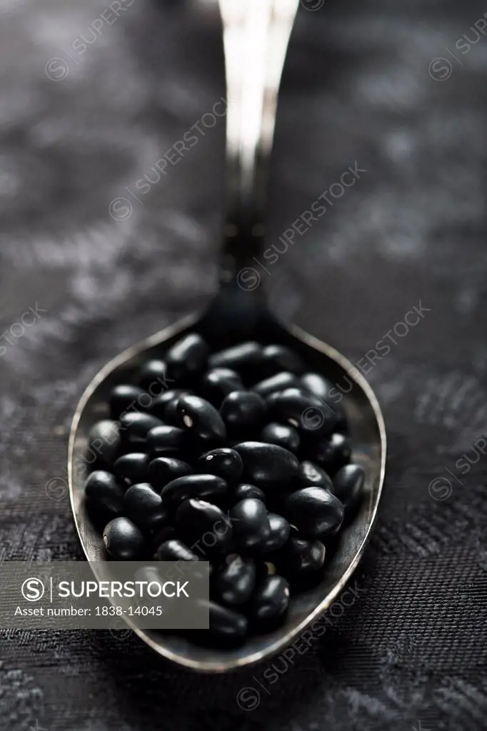 Black Beans in Spoon, Close-Up