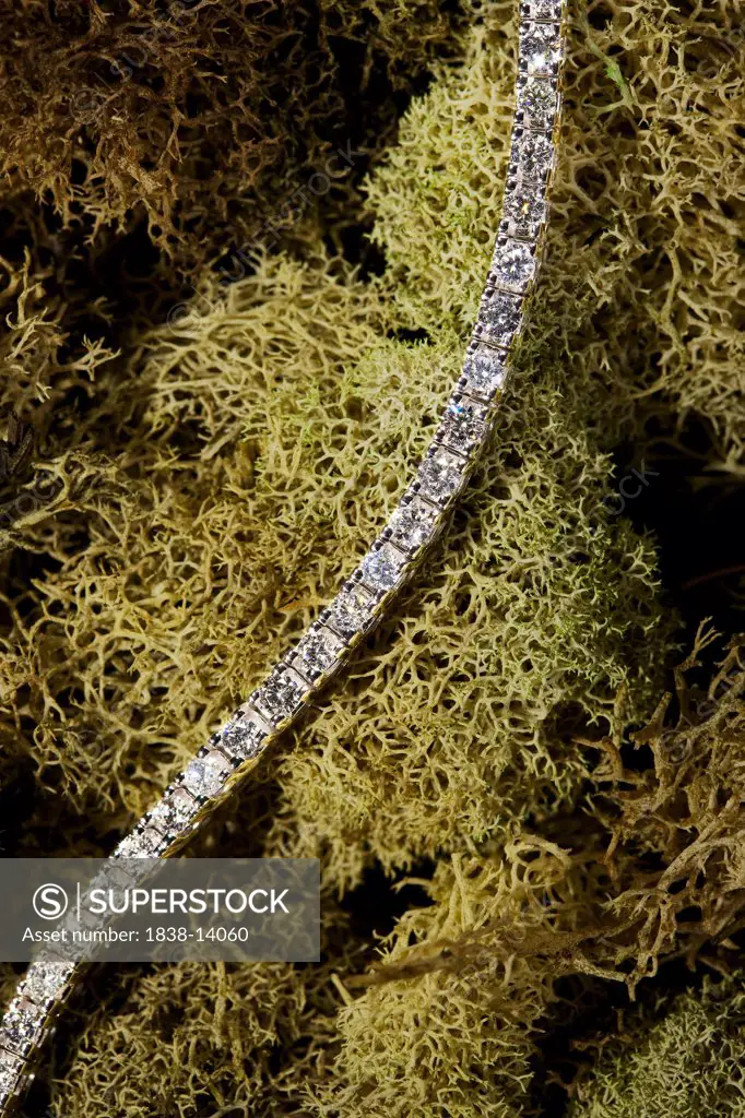 Diamond Bracelet on Moss