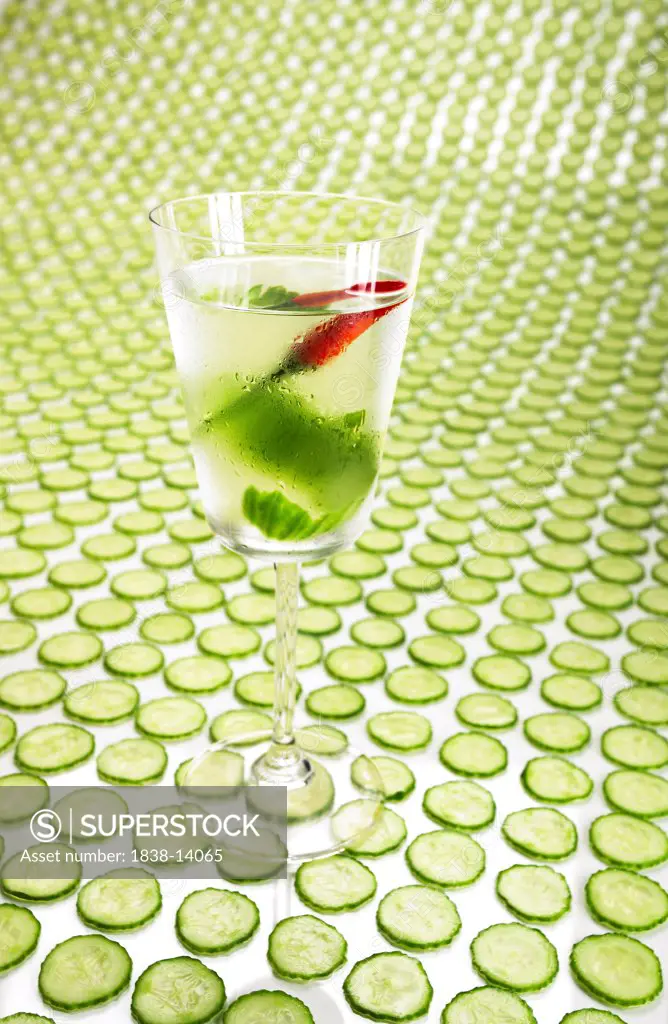 Coctail on Cucumber Slices