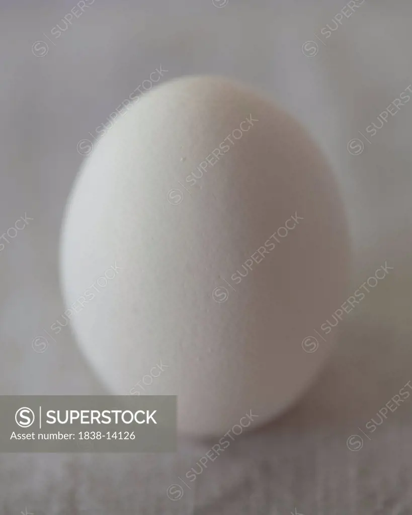White Egg, Close Up