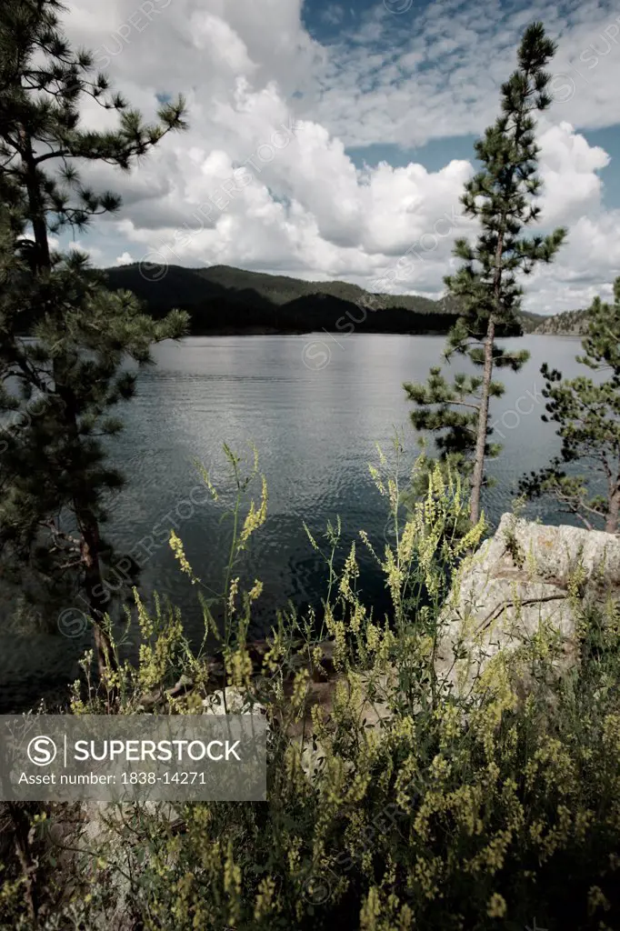 Lake With Mountains in Background, Black Hills, South Dakota, USA