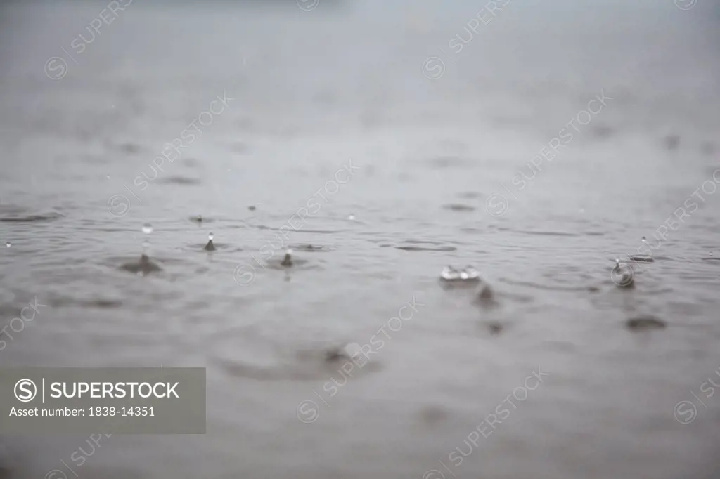 Raindrops Landing on Surface of Lake, Close Up