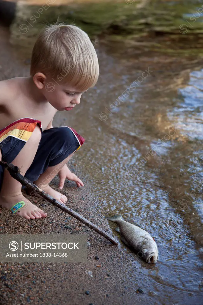 Young Boy Looking at Dead Fish at Edge of Lake