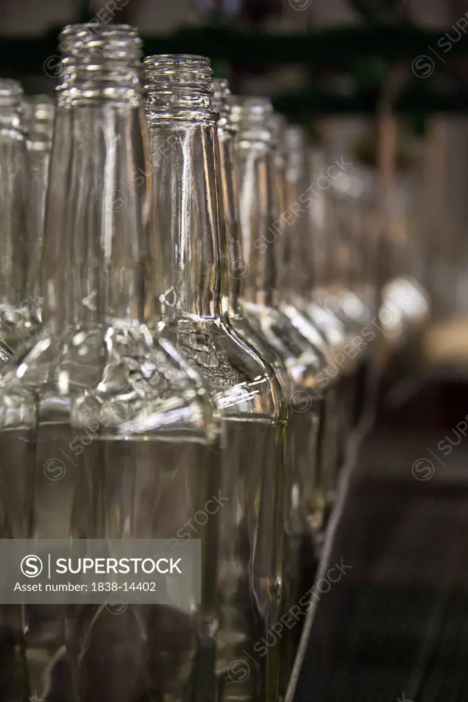 Row of Empty Whiskey Bottles