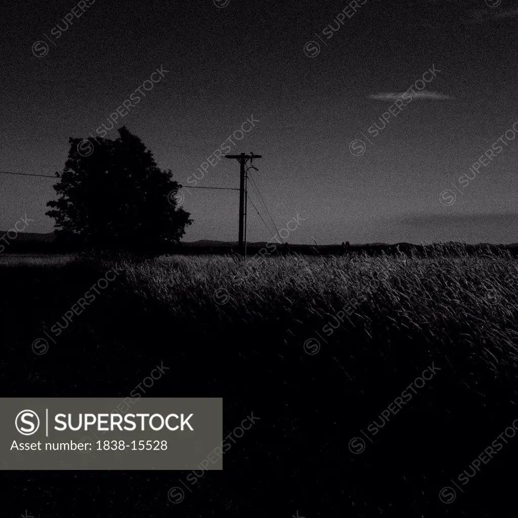 Wheat Field at Night, Washiginton, USA