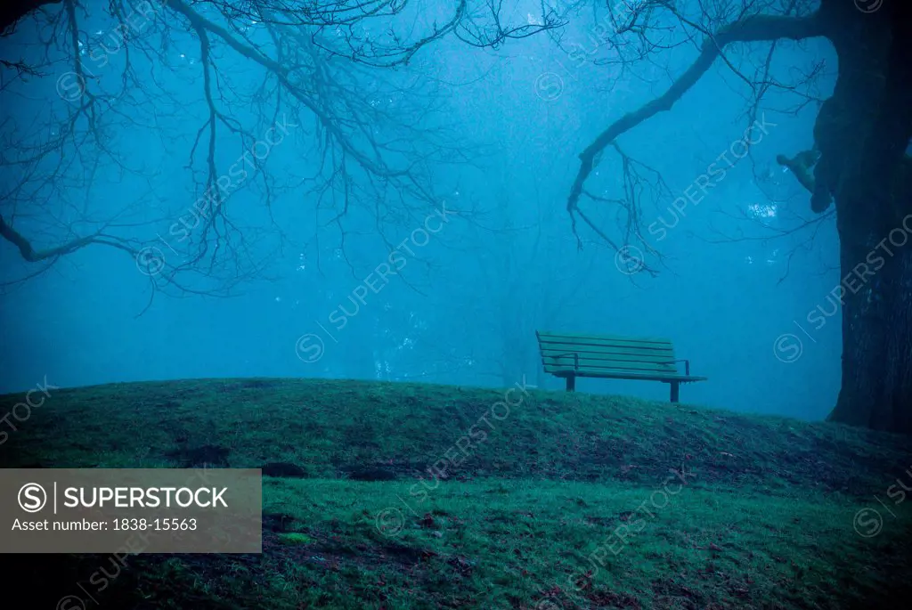 Park Bench on Hill in Fog