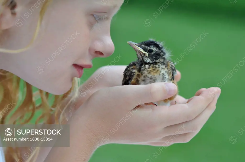Girl Holding Baby Bird, Close Up
