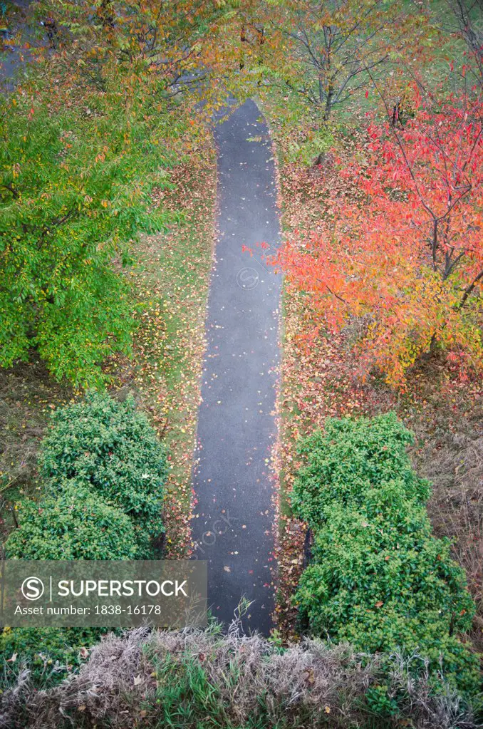 Overhead View of Paved Path Through Park in Autumn