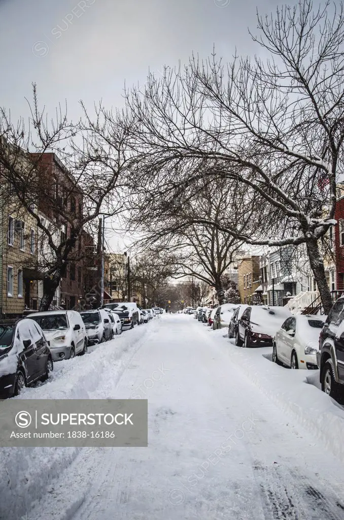 Snowy Winter Street Lined with Cars and Bare Trees, Brooklyn, NYC, USA
