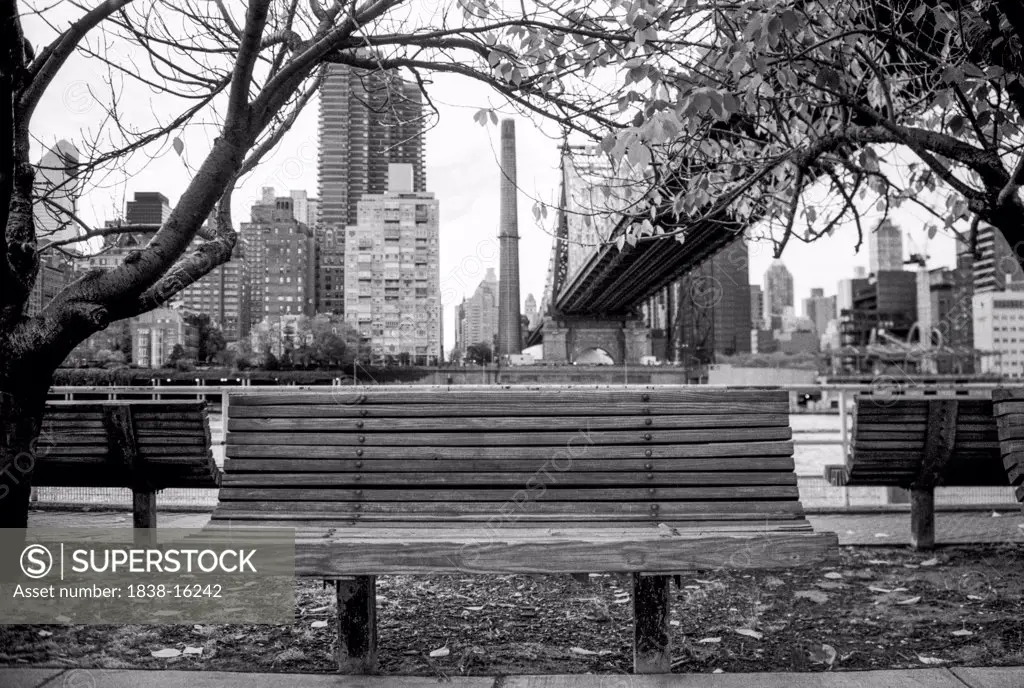 Park Benches with 59th Street Bridge and Manhattan Skyline in Background, New York City, USA